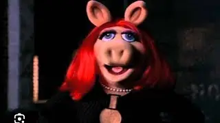 DAMN CLOUT CHASER BUFFETT CENTRAL PORK PICKIN ONEE LOVE FANS R WAITN BOOGIE BEECHHIDESBEHIND DA CRTN