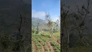 Kodaikanal!#containerstay#s&uuml;nden #food #nature #hillstation#music