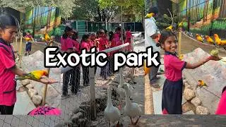 Amazing Day at Exotic Park | Students Enjoyment @VDSactivities