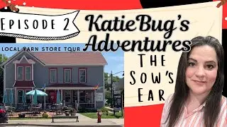 The Sow's Ear Yarn Shop Tour, Madison, WI Katiebug Adventures Episode 2 LYS