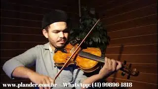 Violino 4/4 Franz Hoffmann, Mittenwald Artesanal - Titanium (Rodrigo Paix&atilde;o)