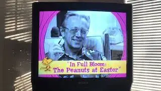 Opening menu and previews to happiness is a warm blanket Charlie Brown 2011 dvd 2013 reprint
