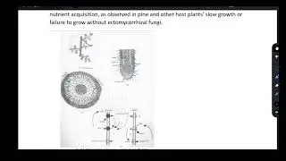 || IGNOU NOTES || BBYCT-131 || BLOCK - 3 || FUNGI || UNIT -11 || #ignou #ignouexam #ignounotes