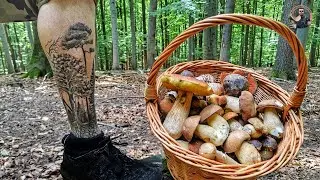 Hriby Huby Houby 06/2024 | Ako dopadlo hubárčenie v Karpatoch plný košík húb krásna príroda | nahuby