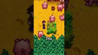 How To Get INFINITE Food For Your Stardew Valley Animals