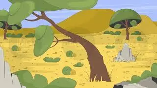 African savanna landscape with trees and bushes 2D cartoon animation