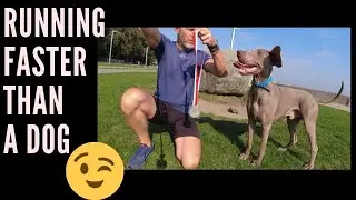 Running faster than a dog is possible.