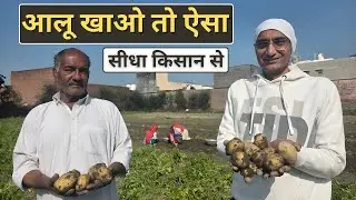 आर्गेनिक आलू का कमाल, सेहत में गजब फायदे Organic Vegetables health benefits || Technical Farming ||