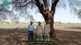 ١ فبراير ٢٠٢٦
