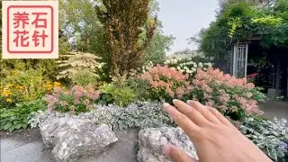 八月漂亮的小花园 - 值得借鉴 - 分析结构和植物组成