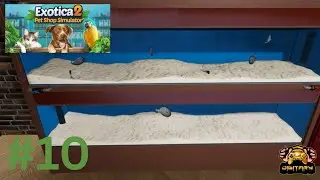 Die Diamantrochen ziehen ein! | Exotica 2: Pet Shop Simulator Let's Play Folge 10!
