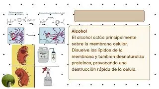 Video didáctico: Uso y Aplicación de compuestos oxigenados en Medicina veterinaria 
