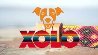 xolo commercial