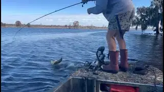 Crazy Fall Spinnerbait Bite on the Neuse River!!!