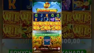 🐝2 ПЧЕЛЫ ДАЛИ ЗАНОС НА 3КК 🔥 3 Buzzing Wilds #занос #слоты #casino #заносынедели