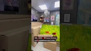 5500 5600 khatam game | #ledtv #ledtvmarket #shorts