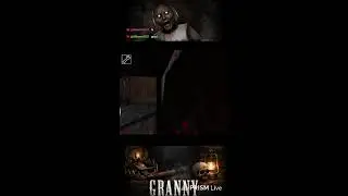 granny car escape