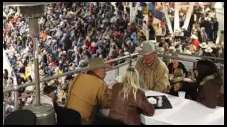 Australian Equine and Livestock Events Centre