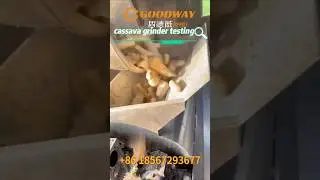Hot selling Cassava grinding machine cassava grater cassava grating machine with promotion price