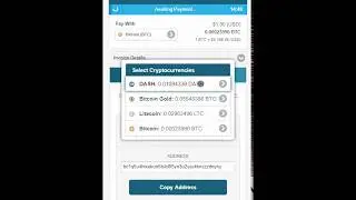 Accept DASH Payments For Your Business via AtomicPay