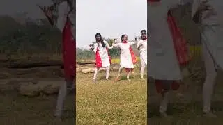 Mera dhola ni aya dola#short#flygirls