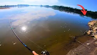 Summer Spinning on PO River