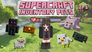 Inventory Pets | SuperCraft | Ep.3