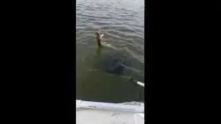 Сузун. Малышево-Каргаполово.