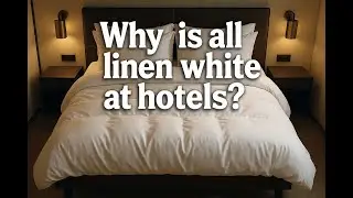 Why Hotel Bedsheets Are Always White: Psychology, Cleanliness & Clever Design