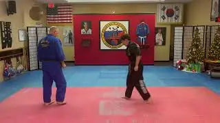 Full Mount Reversals - Sin Moo Ryong Moo Kwan
