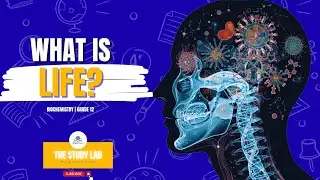 Химические процессы, которые ваш организм использует каждую секунду | Биология, 12 класс