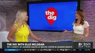Elle Share Japanese Snacks In Jackson Heights On CBS2's The Dig