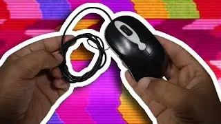 Three super fun experiments using a mouse!
