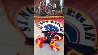 REOG KECIL NGAMUK😱 #shorts #shortsfeed #viralshorts #reog