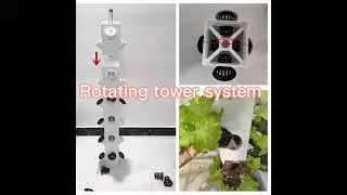 #greenhouse #vegetablespecial #verticalfarming #hydroponics