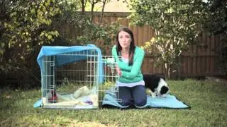 Puppy Sleeping Arrangements
