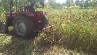 Ragi harvester