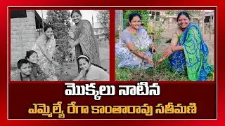 MLA Rega Kantha Rao Wife Planted Saplings Following MP Santosh Kumar TRS | GreatTelangana Tv