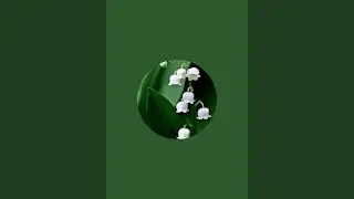splash to plants is live