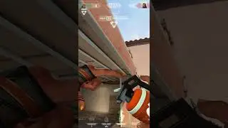 THE BEST RAZE NA