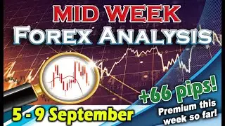 🟩Forex MID Week Analysis 5 - 9 September