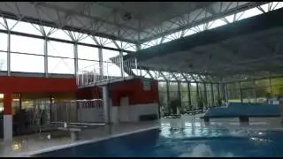 Die Wasserratten :)