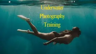 free online underwater training