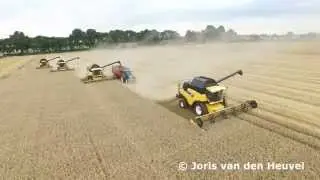 Tarwe dorsen in de hoeksche waard 2015