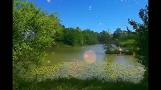 Peaceful Forest Lake - 25 Minutes of Daily Meditation | Relaxing 432Hz Healing Music for Inner Peace
