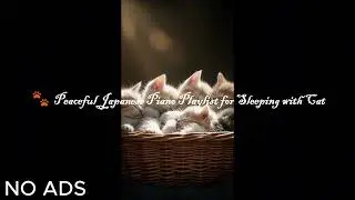 6Hours-🎵 Cat Sleep Music#CatSleep#SleepyKitten#CatLullaby#RelaxingForCats#KittenNapTime#CatMusic