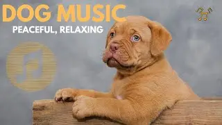4 Hours  SOOTHING NATURE  SOUNDS  Dog Therapy Music - INSTANTLY Calm My Dog Down! Dog TV
