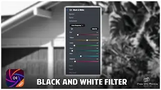 Make Any Photo Look Amazing: Black & White Filter in ON1 Photo RAW 2025