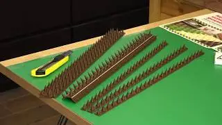 Cactus Fence and Wall Spikes