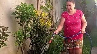 De manhã bem cedo regando as planta